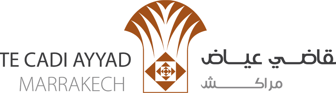 Cadi Ayyad University