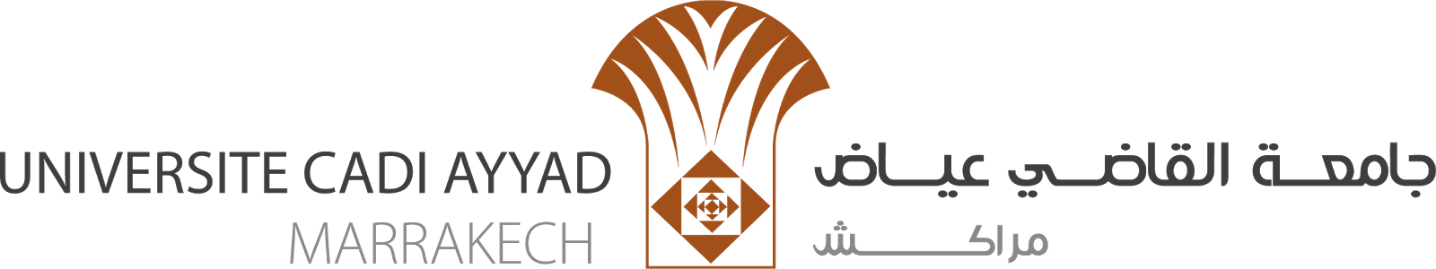 Cadi Ayyad University