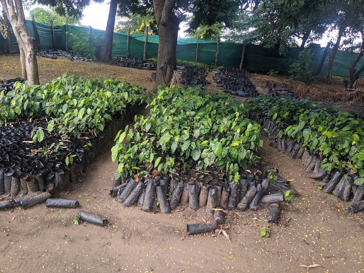A socio-legal perspective on climate resilience
